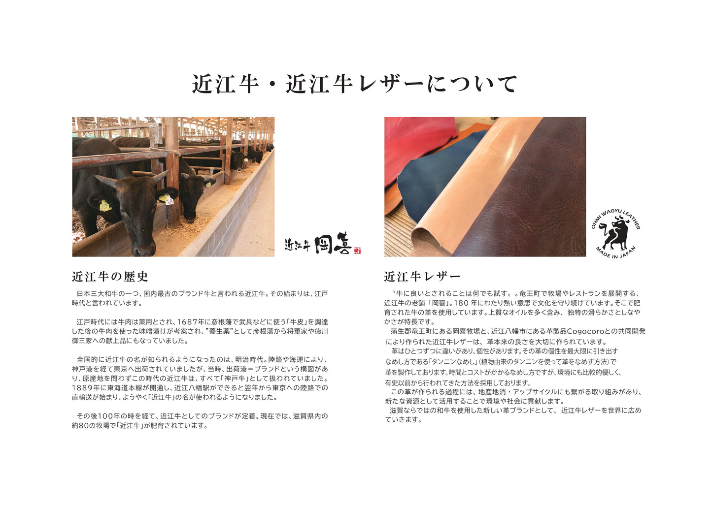 岡喜近江牛レザーと高島帆布で作った　よこショルダーバッグ Lサイズ 【びわ湖ブルー・ブライトキャメル】